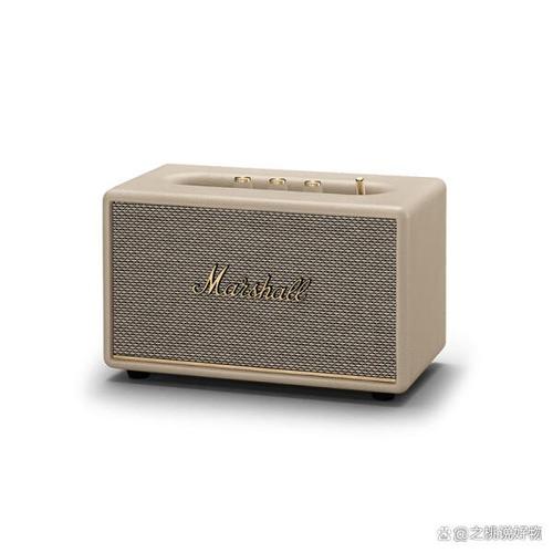 马歇尔Middleton蓝牙音箱防水测试：暴雨露营惊魂