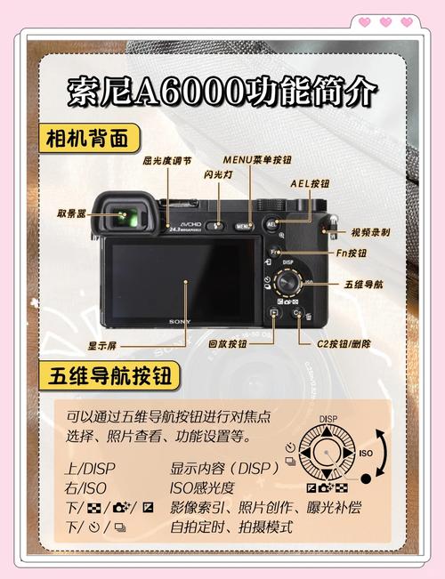 Sony A6600微单相机测评：快速对焦与4K视频的全能表现