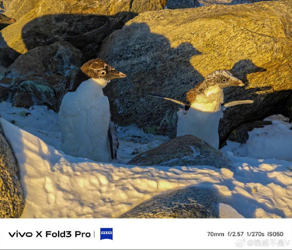 vivo X Fold3 Pro 影像折叠旗舰：蔡司全焦段，折叠也能拍大片