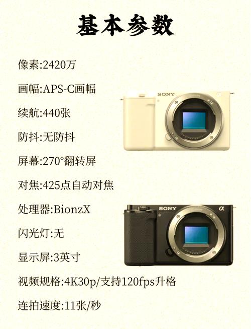 佳能R100入门微单坑新手？对比索尼ZV-E1真相