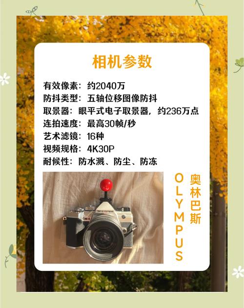 奥林巴斯OM-5复古外观是否影响操作手感?