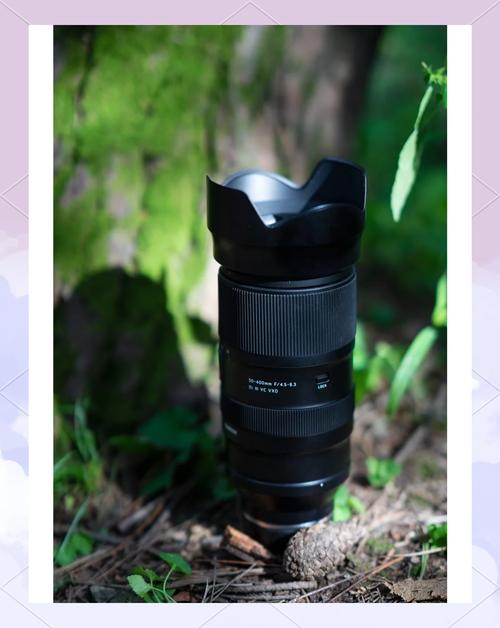 腾龙50-400mm打鸟镜头实战：手持拍摄可行性报告