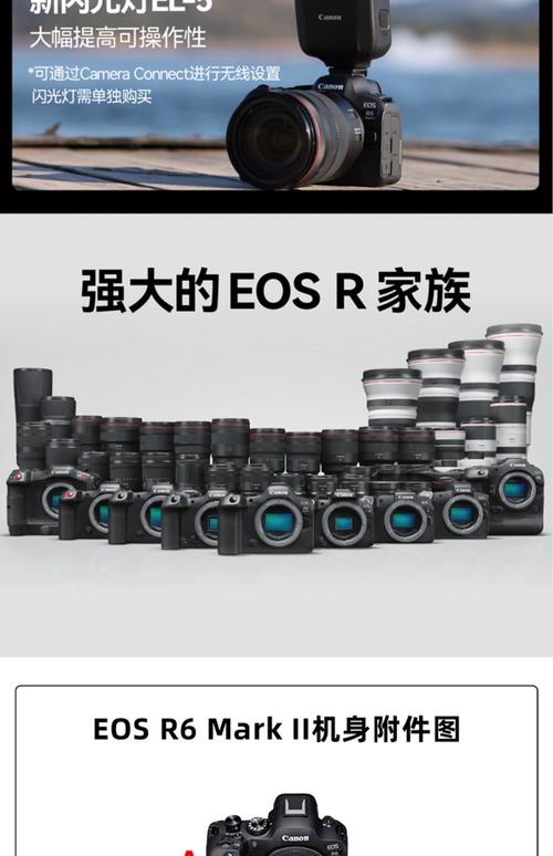 索尼A7 IV对决佳能R6 Mark II：谁才是全能相机之王？