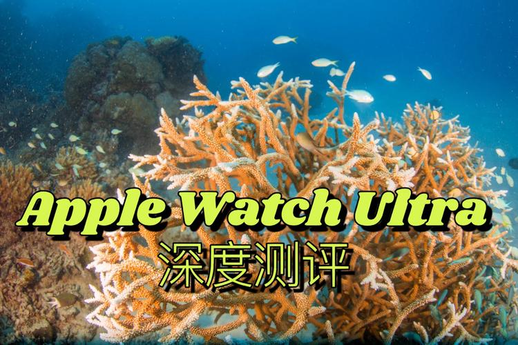 Apple Watch Ultra 2潜水数据造假？专业潜水员打脸