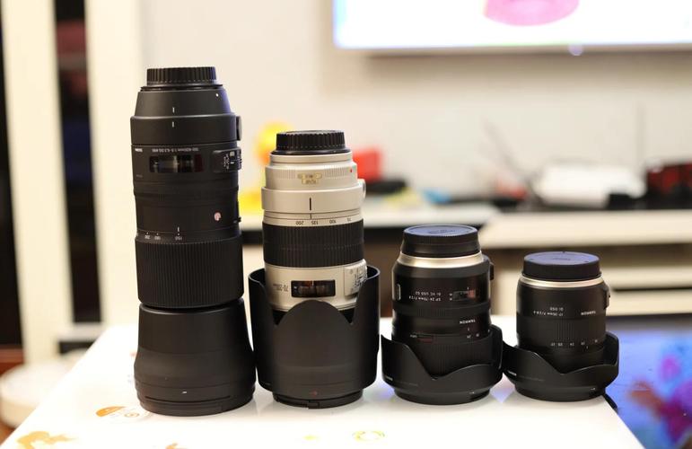 适马150-600mm DG DN长焦:野生动物摄影性价比解决方案