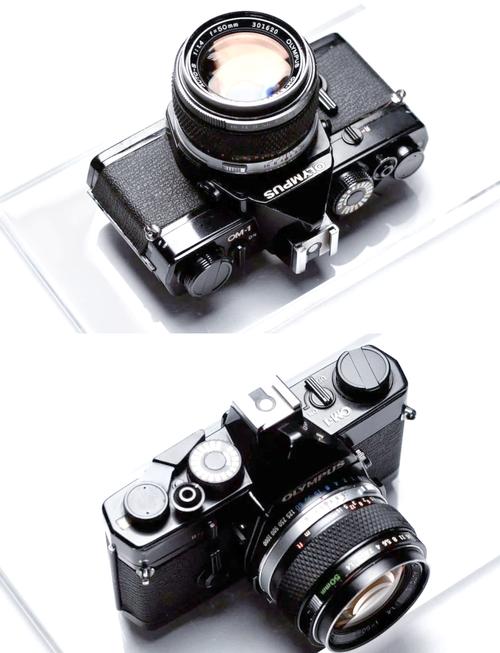 奥林巴斯 OM-D E-M1 Mark IV 防水测试:雨中拍摄可靠性验证