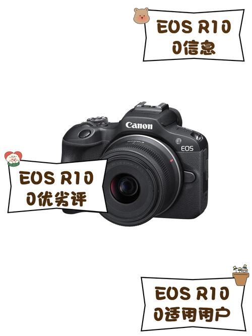 佳能EOS R100相机:V-Log色彩模式视频表现分析