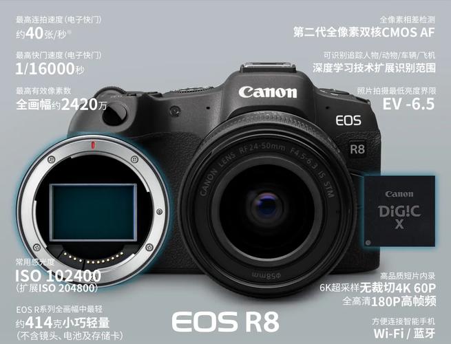 佳能EOS R8全画幅普及者：入门市场的降维打击