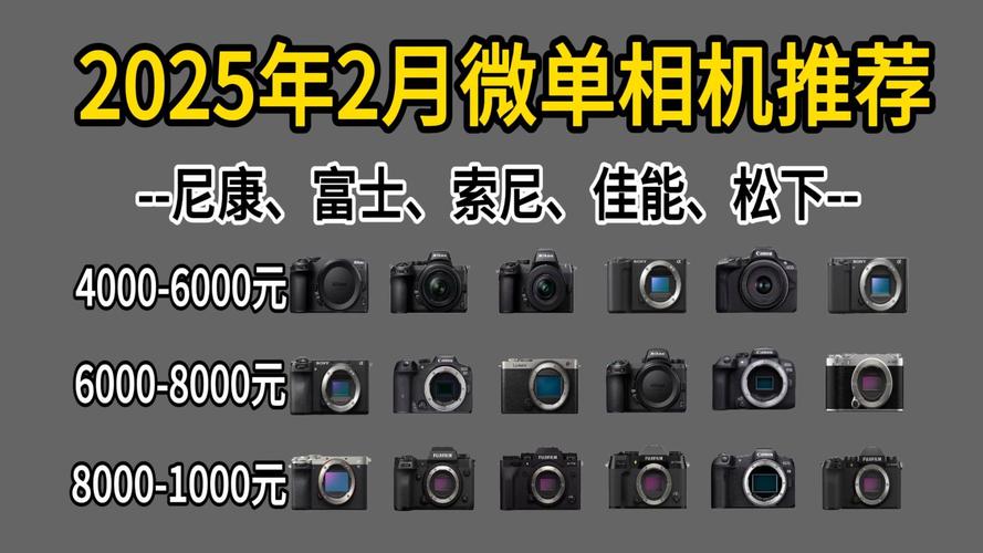 2025 年相机选购指南:微单 vs 单反 vs 无反,哪款适合你?