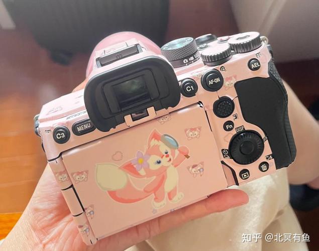Sony A7C II与Nikon Z5对比解析:入门全画幅的实用选择
