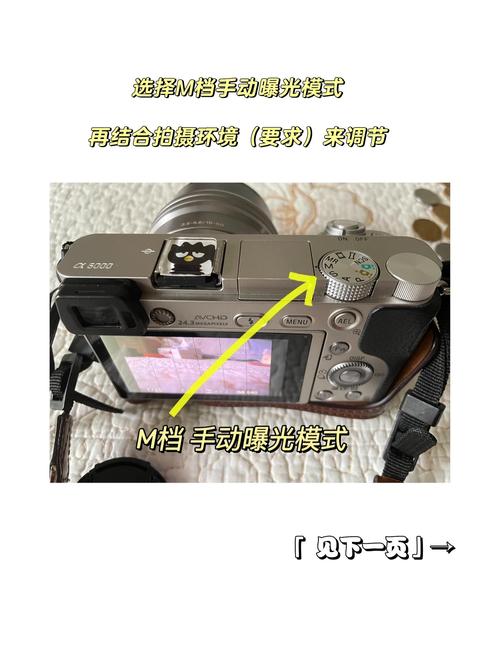 索尼A6700 Vlog新旗舰:AI对焦如何锁定宠物主体