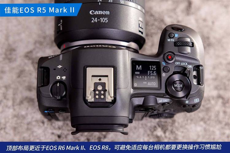 索尼 Alpha 1 II vs 佳能 EOS R5:专业相机怎么选?