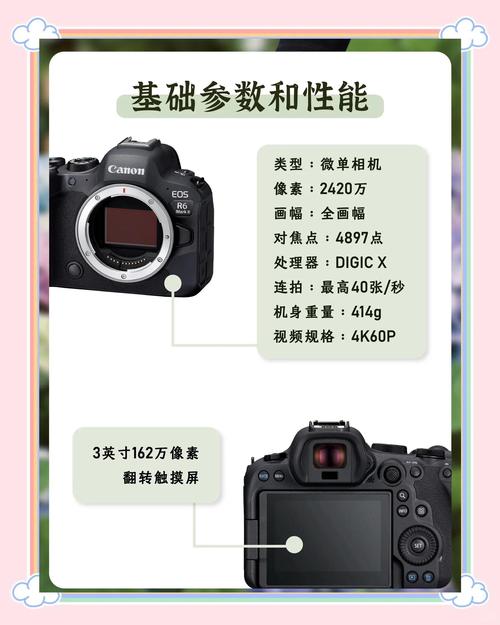 佳能 EOS R6 Mark II 自定义菜单:提升拍摄效率的设置技巧