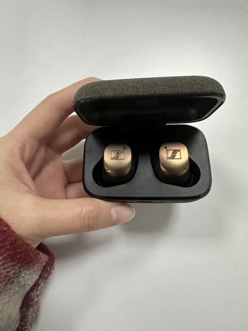 森海塞尔 Momentum True Wireless 4 评测：德系音质，无线耳机中的 “音质标杆”？​